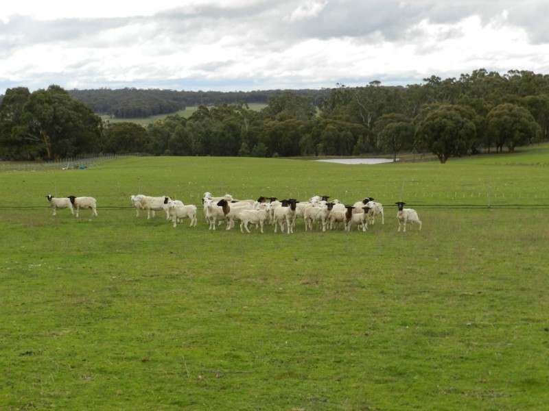 125 Kennedy Lane, Crookwell NSW 2583