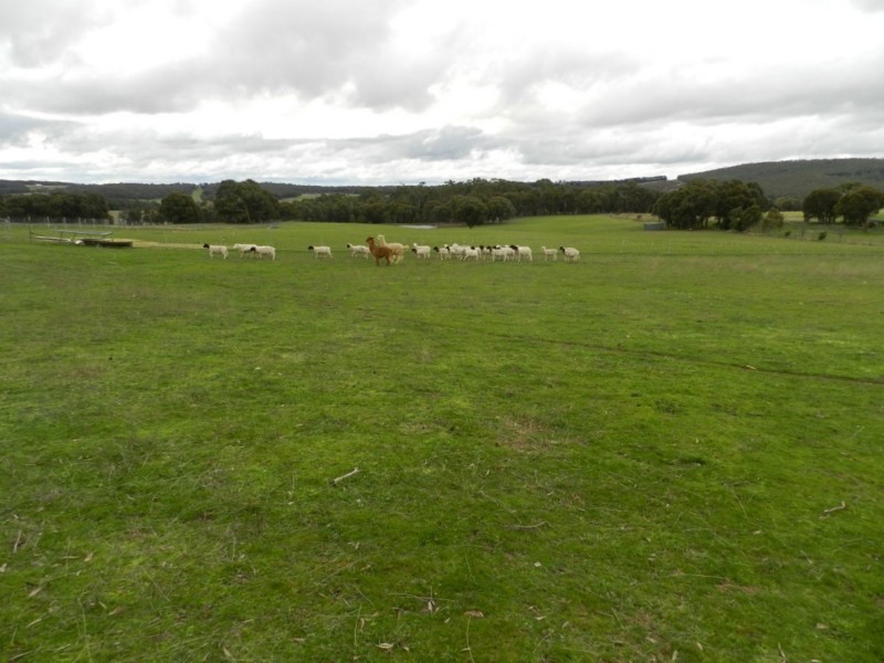 125 Kennedy Lane, Crookwell NSW 2583