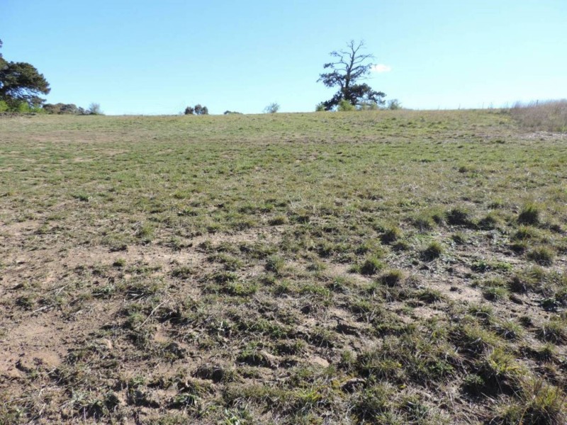 21 Swan Loop, Goulburn NSW 2580