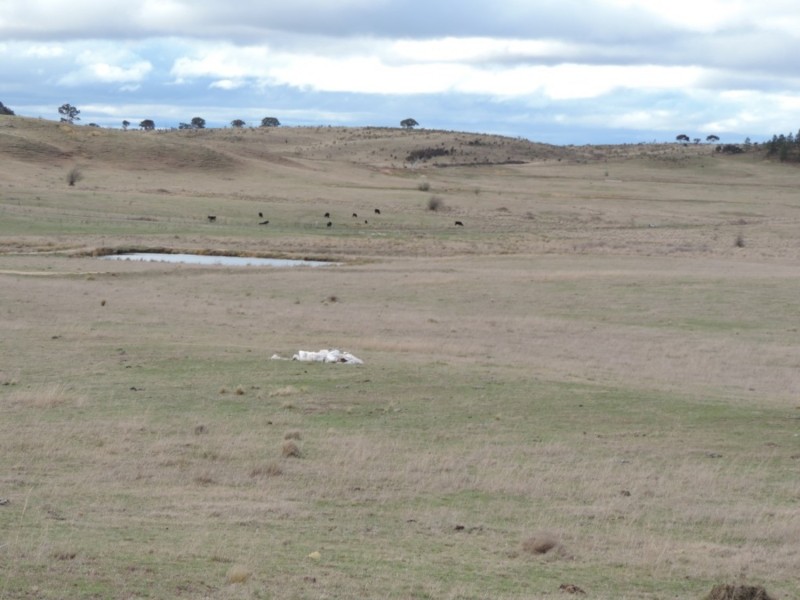 Lot 2 Oallen Ford Road, Windellama NSW 2580