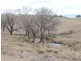 Lot 2 Oallen Ford Road, Windellama NSW 2580