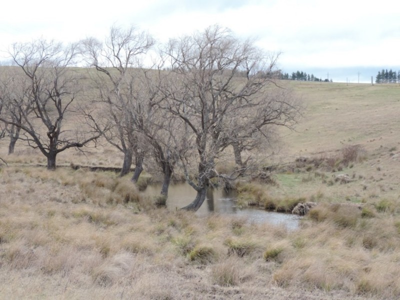 Lot 2 Oallen Ford Road, Windellama NSW 2580