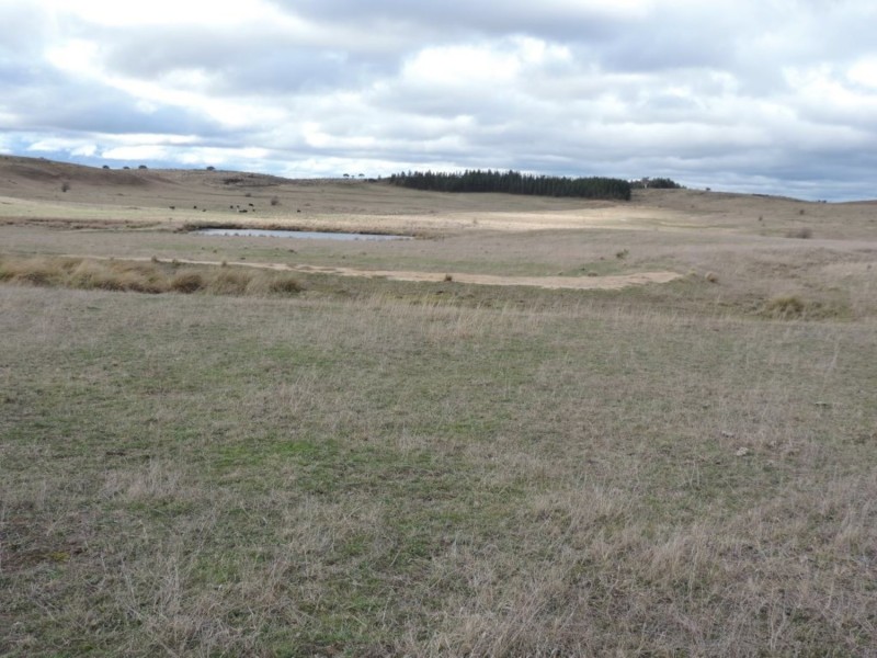 Lot 2 Oallen Ford Road, Windellama NSW 2580