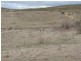 Lot 2 Oallen Ford Road, Windellama NSW 2580