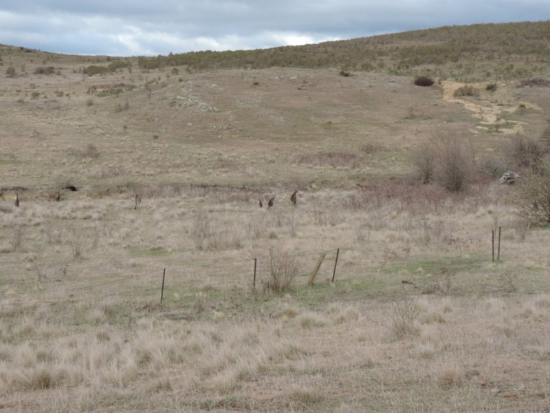 Lot 2 Oallen Ford Road, Windellama NSW 2580