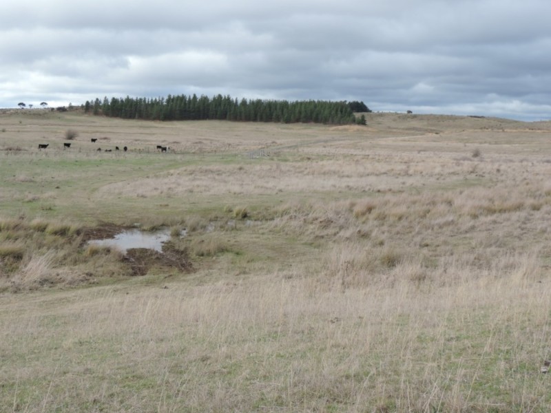 Lot 2 Oallen Ford Road, Windellama NSW 2580