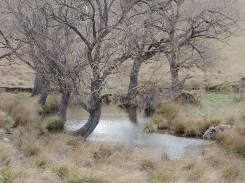 Lot 2 Oallen Ford Road, Windellama NSW 2580