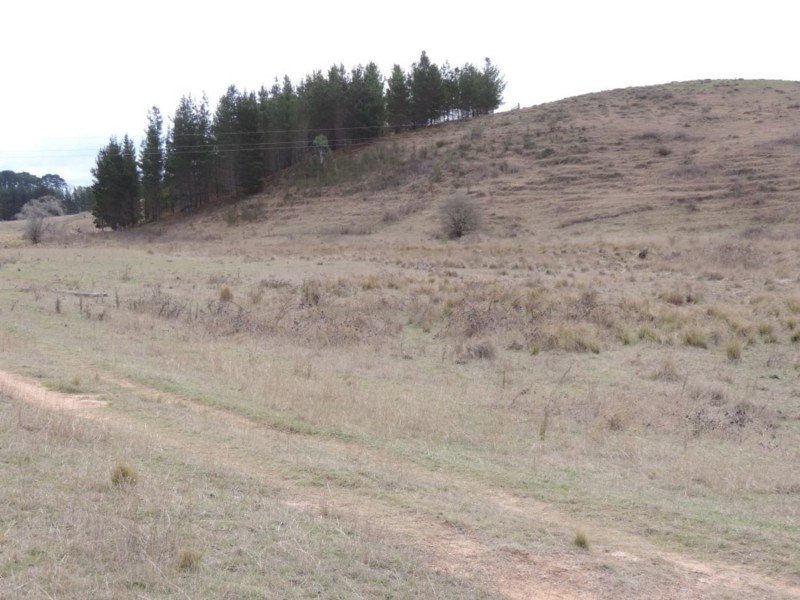 Lot 2 Oallen Ford Road, Windellama NSW 2580