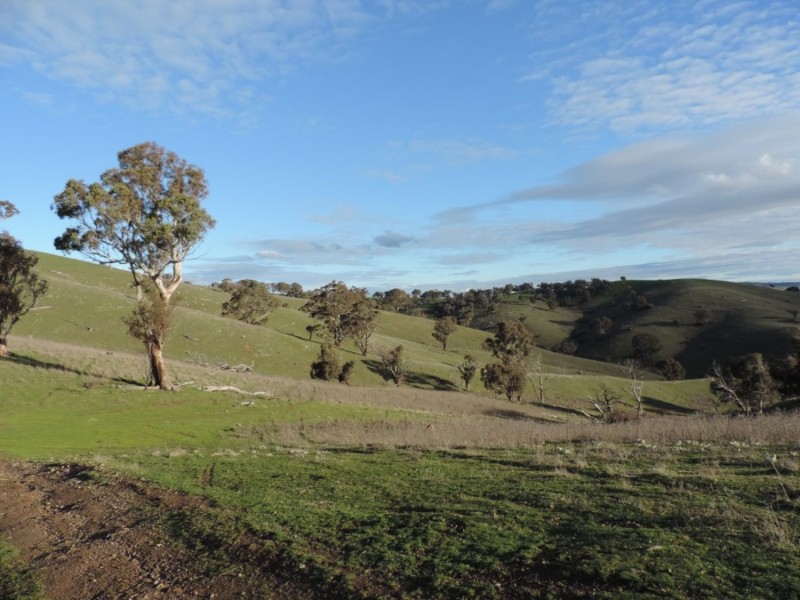 Hilltop 832 Levels Road, Golspie NSW 2580