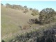 Hilltop 832 Levels Road, Golspie NSW 2580