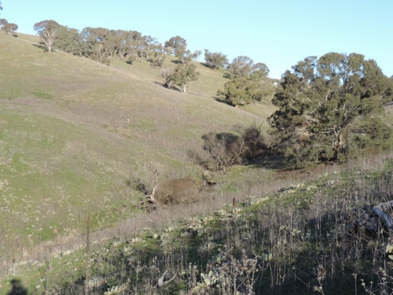 Hilltop 832 Levels Road, Golspie NSW 2580