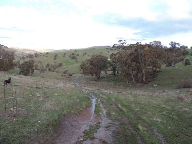 Hilltop 832 Levels Road, Golspie NSW 2580