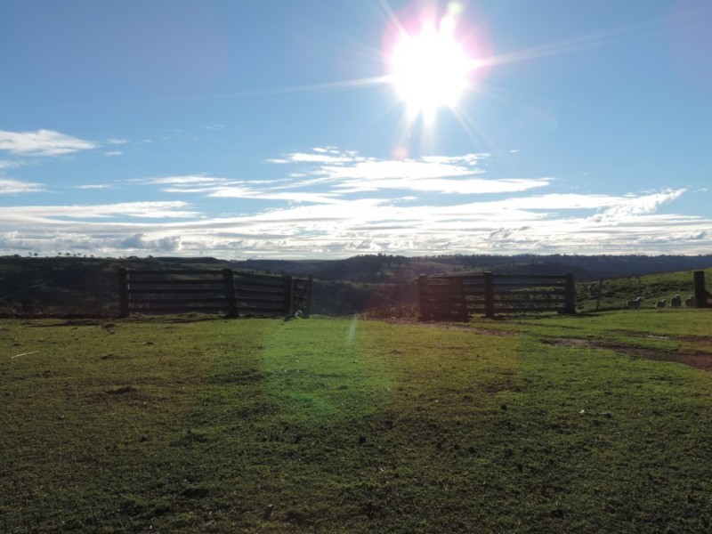 Hilltop 832 Levels Road, Golspie NSW 2580
