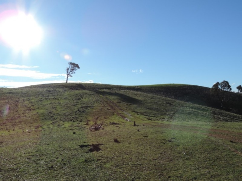 Hilltop 832 Levels Road, Golspie NSW 2580
