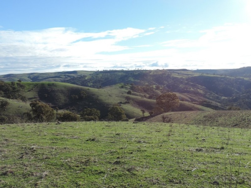Hilltop 832 Levels Road, Golspie NSW 2580