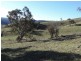 Hilltop 832 Levels Road, Golspie NSW 2580