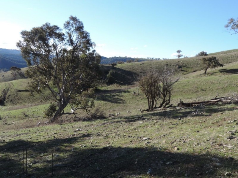 Hilltop 832 Levels Road, Golspie NSW 2580