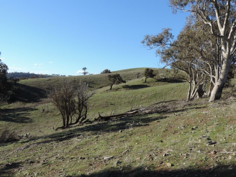 Hilltop 832 Levels Road, Golspie NSW 2580