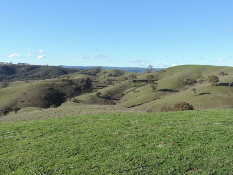 Hilltop 832 Levels Road, Golspie NSW 2580