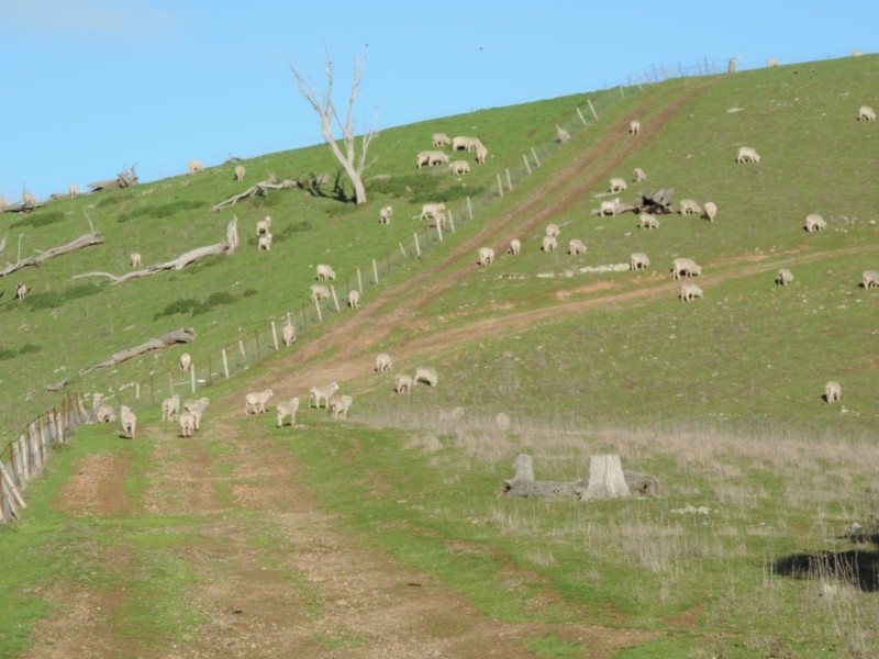 Hilltop 832 Levels Road, Golspie NSW 2580