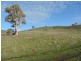 Hilltop 832 Levels Road, Golspie NSW 2580
