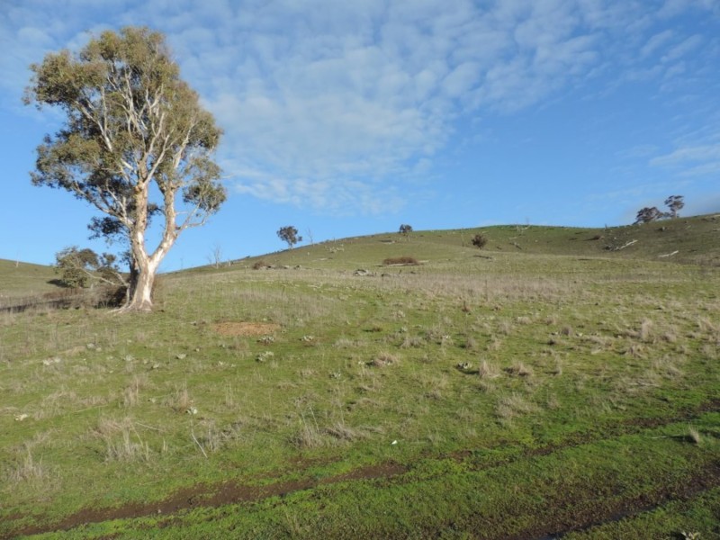 Hilltop 832 Levels Road, Golspie NSW 2580