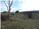Hilltop 832 Levels Road, Golspie NSW 2580