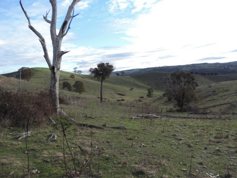 Hilltop 832 Levels Road, Golspie NSW 2580