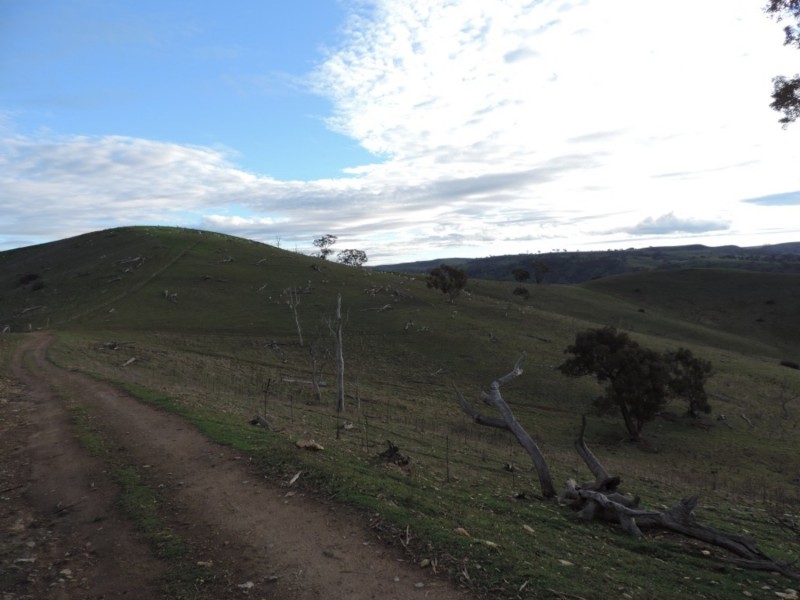 Hilltop 832 Levels Road, Golspie NSW 2580