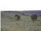 Hilltop 832 Levels Road, Golspie NSW 2580
