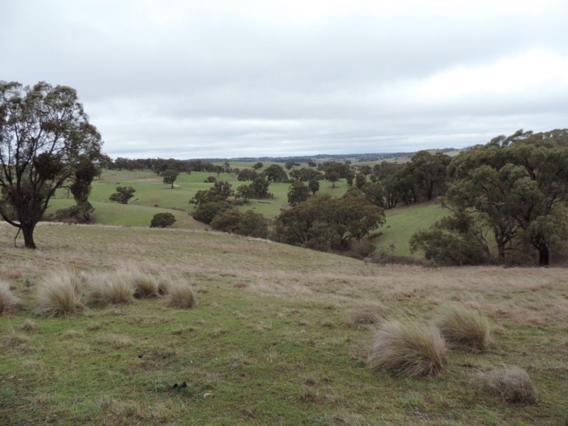 541 Redground Road, Crookwell NSW 2583