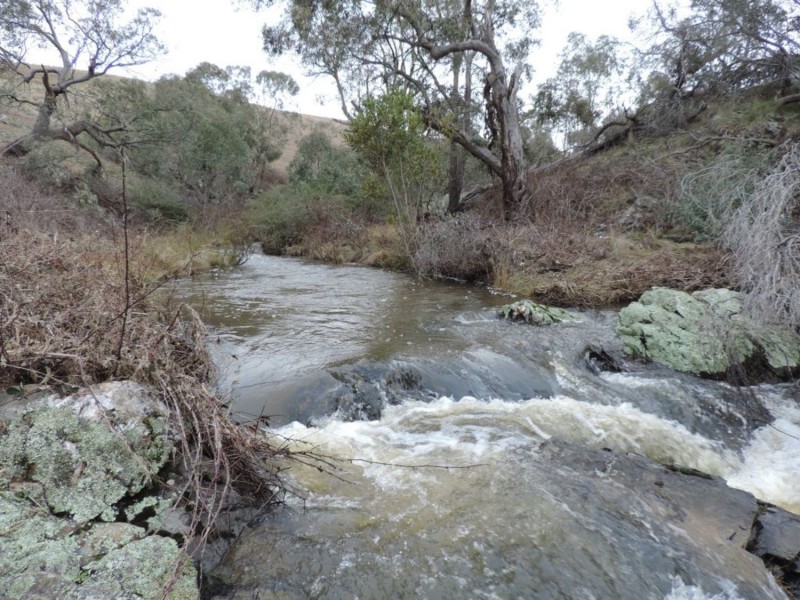 541 Redground Road, Crookwell NSW 2583