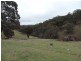 541 Redground Road, Crookwell NSW 2583