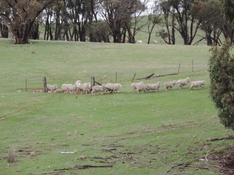 541 Redground Road, Crookwell NSW 2583