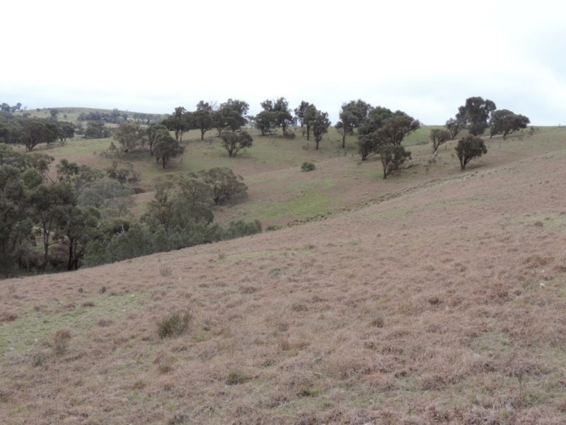 541 Redground Road, Crookwell NSW 2583
