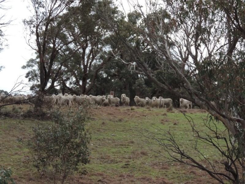 541 Redground Road, Crookwell NSW 2583