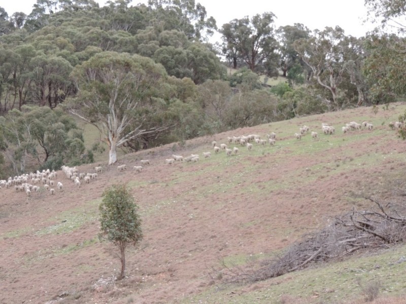 541 Redground Road, Crookwell NSW 2583