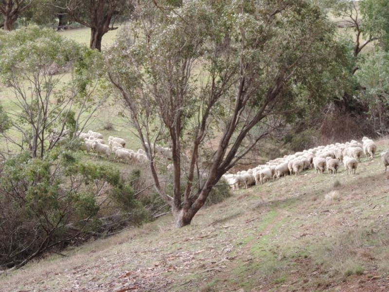 541 Redground Road, Crookwell NSW 2583