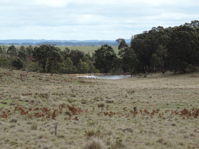 Loadstone Hill Mt Rae Road, Taralga NSW 2580