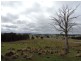 Loadstone Hill Mt Rae Road, Taralga NSW 2580
