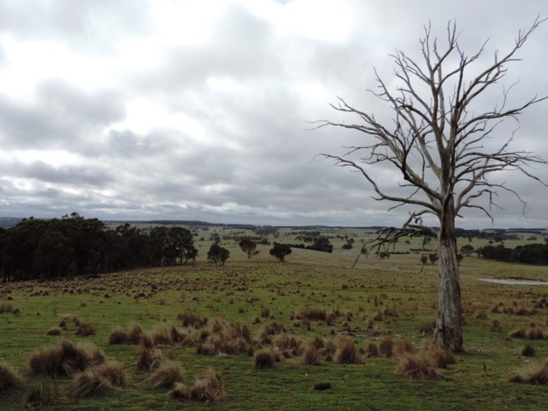 Loadstone Hill Mt Rae Road, Taralga NSW 2580