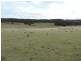 Loadstone Hill Mt Rae Road, Taralga NSW 2580