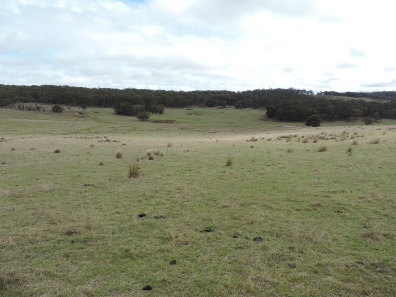 Loadstone Hill Mt Rae Road, Taralga NSW 2580