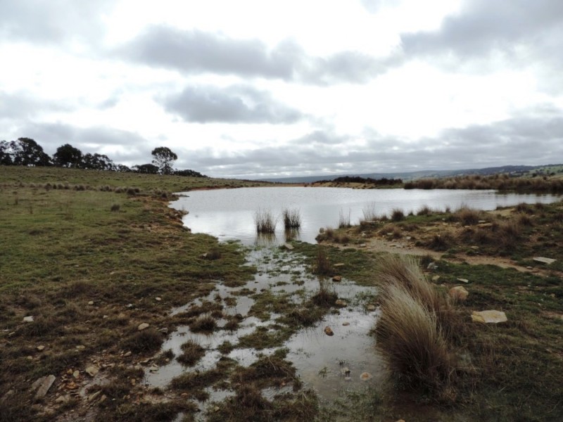 Loadstone Hill Mt Rae Road, Taralga NSW 2580