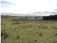 Loadstone Hill Mt Rae Road, Taralga NSW 2580