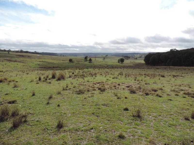 Loadstone Hill Mt Rae Road, Taralga NSW 2580