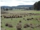 Loadstone Hill Mt Rae Road, Taralga NSW 2580