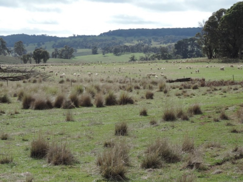 Loadstone Hill Mt Rae Road, Taralga NSW 2580