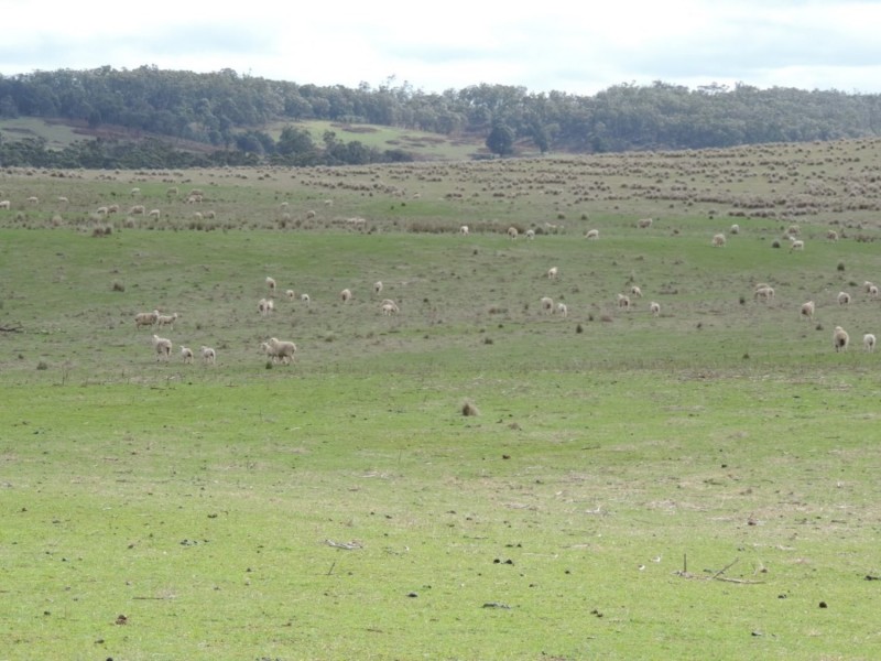 Loadstone Hill Mt Rae Road, Taralga NSW 2580
