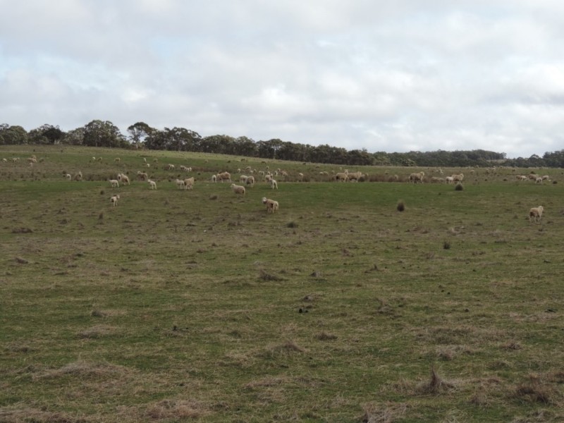 Loadstone Hill Mt Rae Road, Taralga NSW 2580